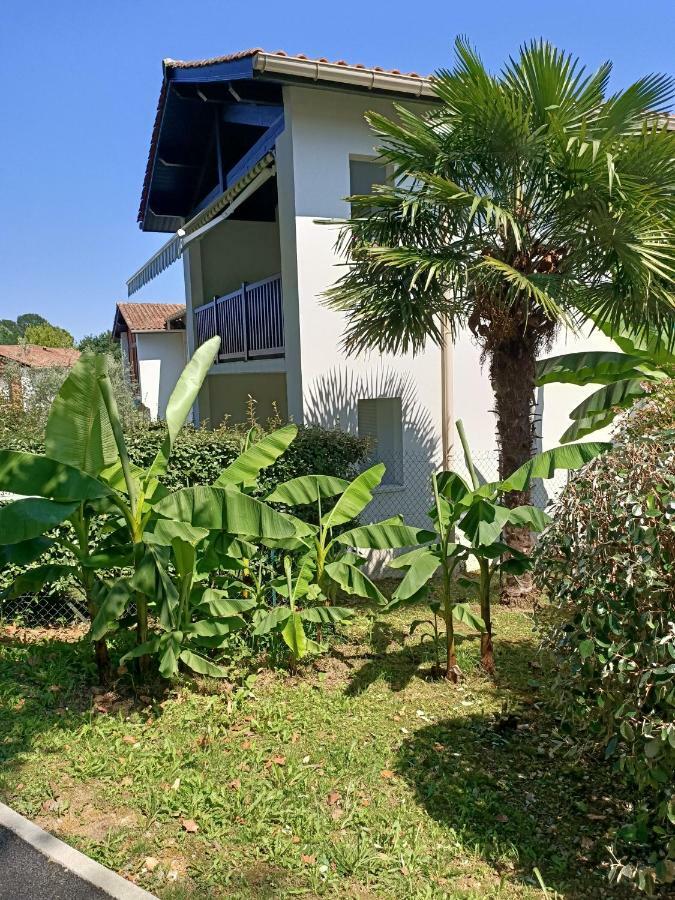 Colline De La Bergerie Apartment Камбо-ле-Бен Екстериор снимка